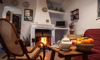 Aloe vera – Casa Luna Vieja