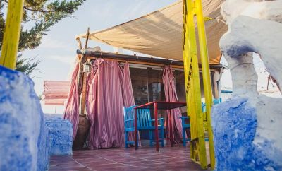 Aloe vera – Casa Pájaros