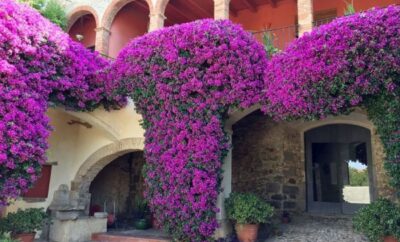 Can Gibert, Apartamentos Rurales