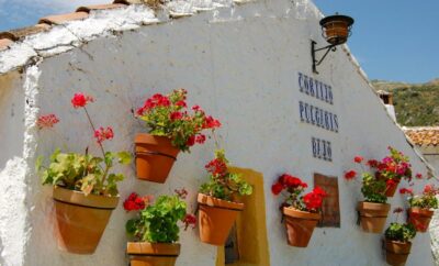 Cortijo Pulgarin Bajo