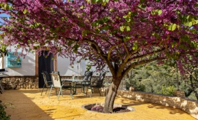 Casa Rural El Serrano
